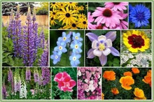 Load image into Gallery viewer, Deer Resistant Wildflower Seed Mix