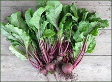 Load image into Gallery viewer, Beets, Detroit Red Seeds
