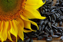 Load image into Gallery viewer, Sunflower Seeds, Black Oil