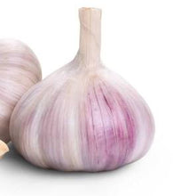 Load image into Gallery viewer, xx SOLD OUT PURPLE GLAZER HARDNECK PLANTING GARLIC