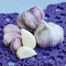 Load image into Gallery viewer, xx SOLD OUT PURPLE GLAZER HARDNECK PLANTING GARLIC
