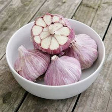 Load image into Gallery viewer, XXX SOLD OUT RED GRAIN HARDNECK PLANTING GARLIC