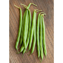 Load image into Gallery viewer, Beans, Provider Bush Bean