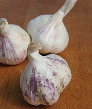 Load image into Gallery viewer, xxx sold out SAMPLER OF PLANTING GARLIC
