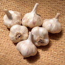 Load image into Gallery viewer, XXX SOLD OUT SAMPLER OF PLANTING GARLIC