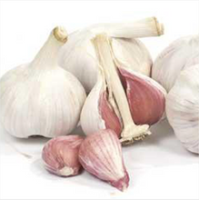 Load image into Gallery viewer, XXX SOLD OUT MUSIC HARDNECK PLANTING GARLIC