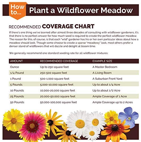 California Wildflower Seed Mix 5 Lbs