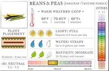 Load image into Gallery viewer, Beans, Provider Bush Bean