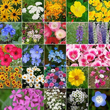 Load image into Gallery viewer, California Wildflower Seed Mix