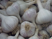 Load image into Gallery viewer, XXX SOLD OUT MUSIC HARDNECK PLANTING GARLIC