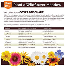 Load image into Gallery viewer, Midwest Wildflower Seeds

