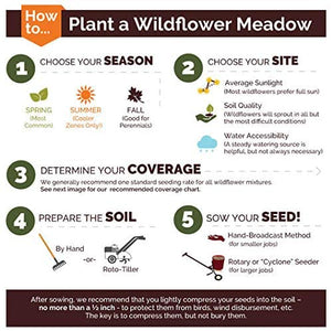 Deer Resistant Wildflower Seed Mix