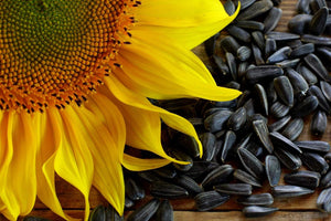 Sunflower Seeds, Black Oil