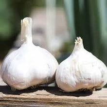Load image into Gallery viewer, SICILIAN SOFTNECK PLANTING GARLIC
