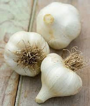 Load image into Gallery viewer, SICILIAN SOFTNECK PLANTING GARLIC
