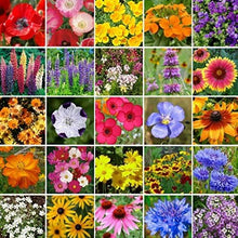 Load image into Gallery viewer, South East Wildflower Seeds
