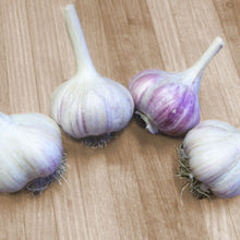 Load image into Gallery viewer, XXX SOLD OUT SAMPLER OF CULINARY GARLIC
