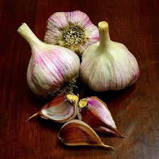 KILLARNEY RED HARDNECK PLANTING GARLIC