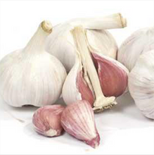 Load image into Gallery viewer, xxx sold out MUSIC HARDNECK PLANTING GARLIC
