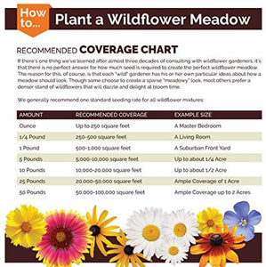 California Wildflower Seed Mix