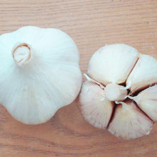 Load image into Gallery viewer, xxx sold out GERMAN WHITE HARDNECK PLANTING GARLIC
