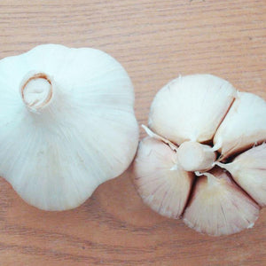 XXX SOLD OUT SAMPLER OF PLANTING GARLIC