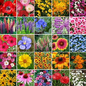 west wildflower seed mix Pacific North West Wildflower Seeds – Dirt Goddess Super Seeds