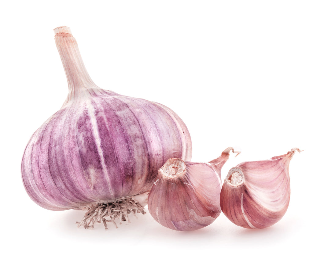 xxxx SOLD OUT PURPLE STRIPE PLANTING GARLIC