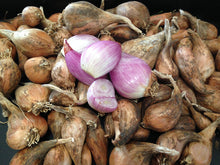 Load image into Gallery viewer, XXX SOLD OUT FRENCH GREY SHALLOTS
