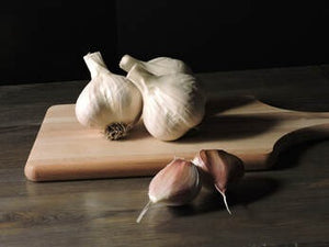 SUSAN DELAFIELD HARDNECK PLANTING GARLIC