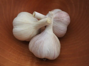 SUSAN DELAFIELD HARDNECK PLANTING GARLIC
